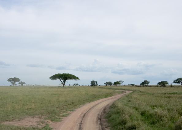 Serengeti-3271.jpg