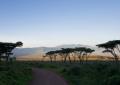 Ngorongoro-3478