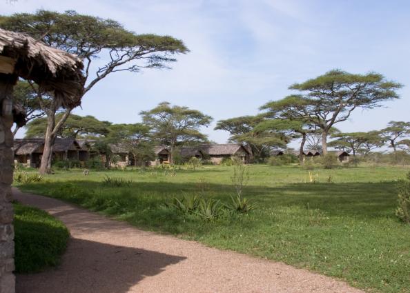 Serengeti-3417.jpg - Ndutu Lodge