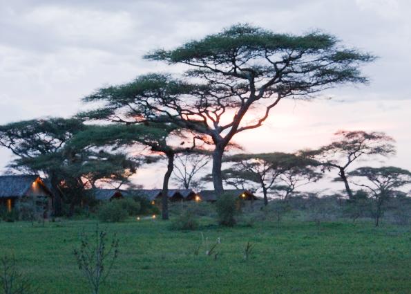 Serengeti-9044.jpg - Ndutu Lodge at sunset