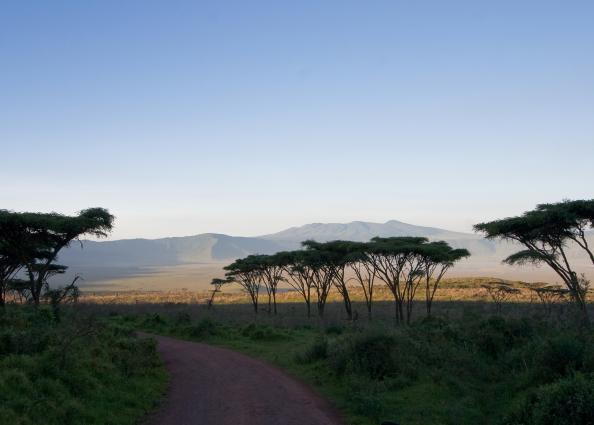 Ngorongoro-3478.jpg - Driving into the Crater fron the Sopa access road