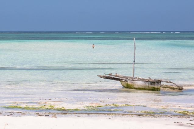 Zanzibar-5096.jpg - Low tide