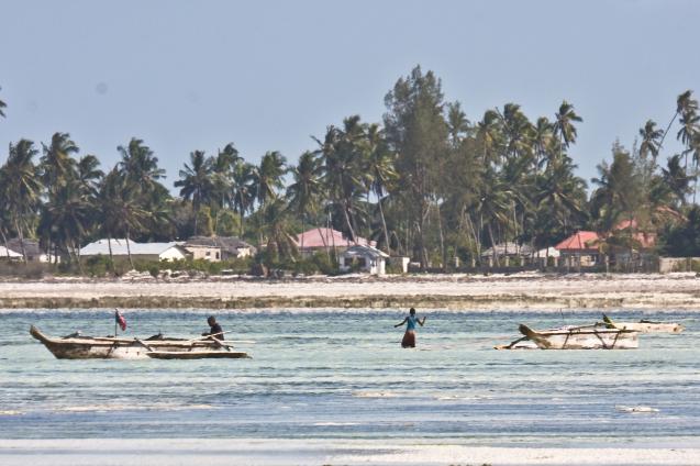 Zanzibar-5150.jpg - A village