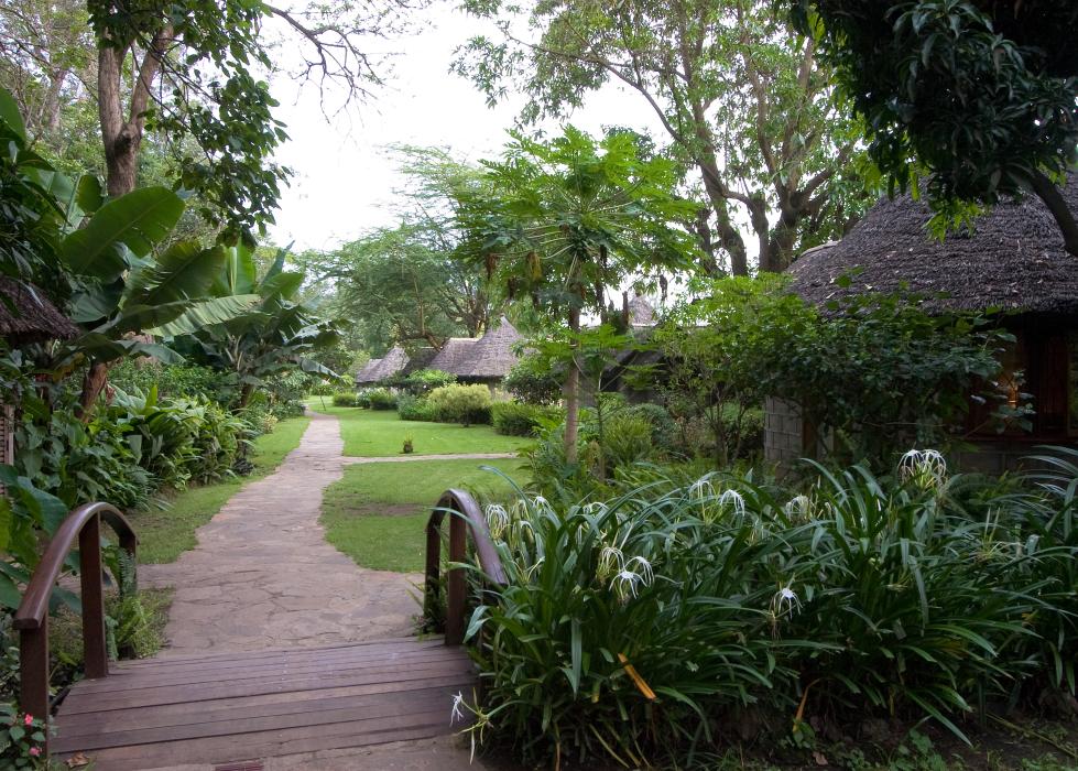 Arusha-3212.jpg - Path to the individual cottages.