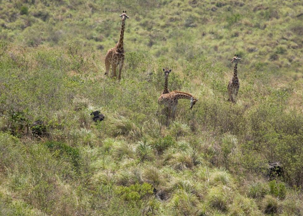 Arusha-6773.jpg