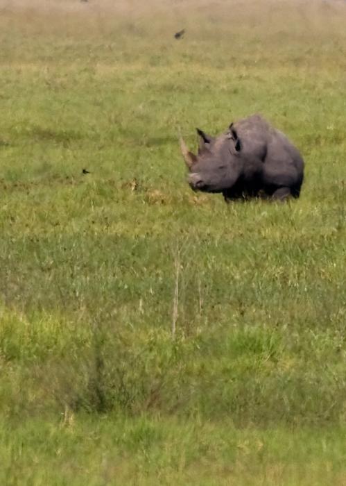 Ngorongoro-0494.jpg