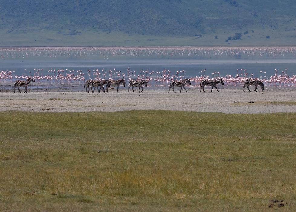 Ngorongoro-0746.jpg