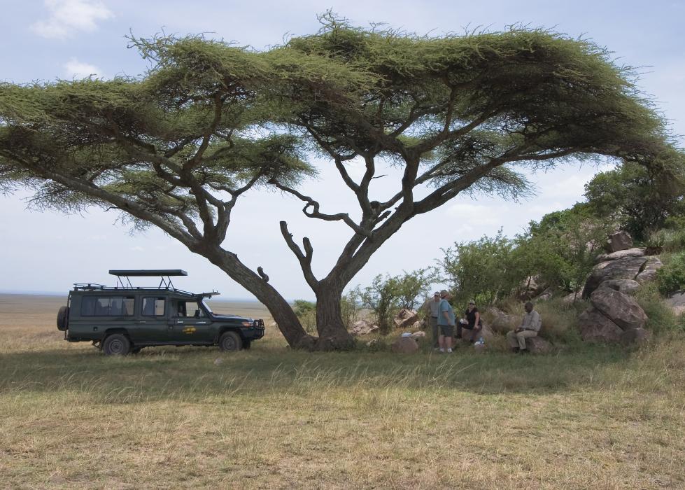 Serengeti-3264.jpg - Lunch stop out at the Kopjes.  Here is also where Chris had to change the flat tire on the new cruiser.