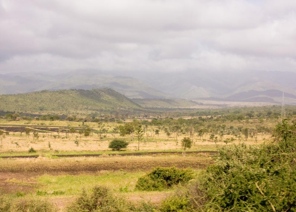 Zanzibar-4519.jpg - Countryside between Lake Manyara and Arusha