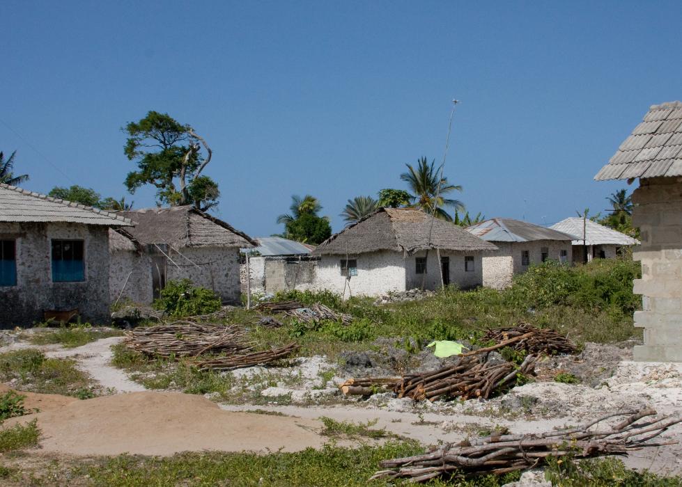 Zanzibar-5018.jpg - The village next door