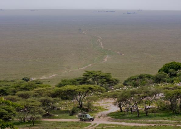 Serengeti-7328.jpg - Looking into the Serengeti from Naabi Gate
