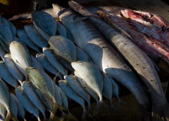 Zanzibar-5207.jpg - fish market(stonetown)