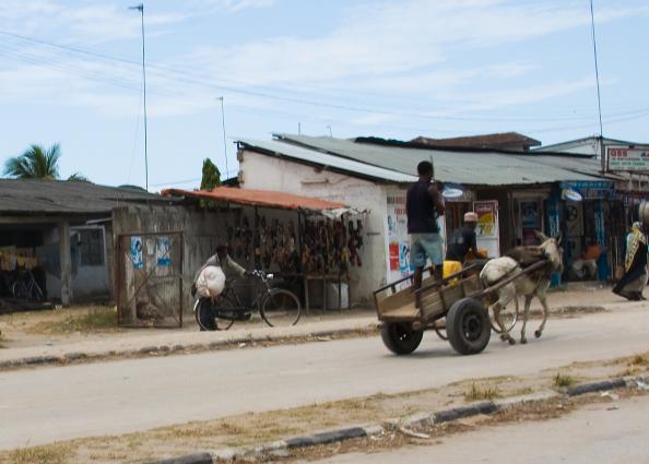 Zanzibar-3658.jpg - Zanzibar roadside