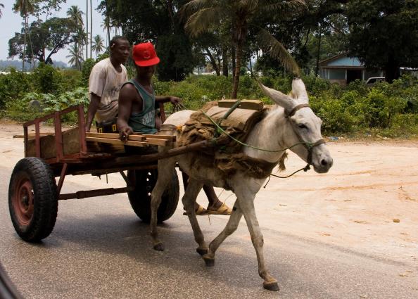 Zanzibar-5456.jpg - Zanzibar roadside