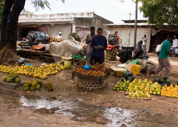 Zanzibar-5473.jpg - Zanzibar roadside