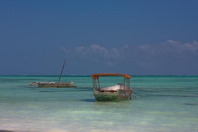 Zanzibar-5059.jpg - Boats at our disposal