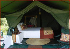 Mobil Camping Tent