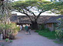 Ndutu Safari Lodge