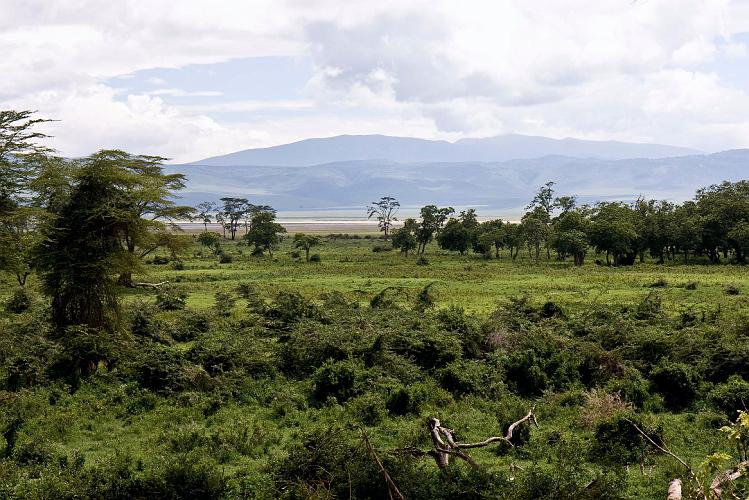 2009_Ngorongoro_40B-0782.jpg