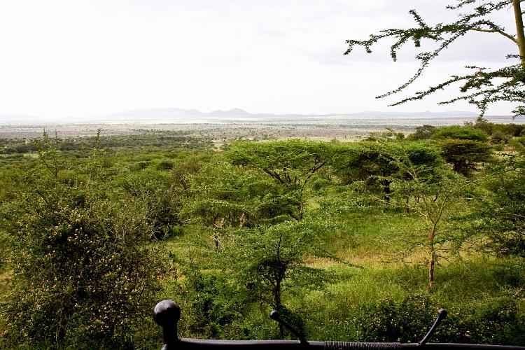 2009_Serengeti_40B-1184.jpg