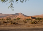 MG 7721  Sossusvlei, Big Daddy and Dead Vlei