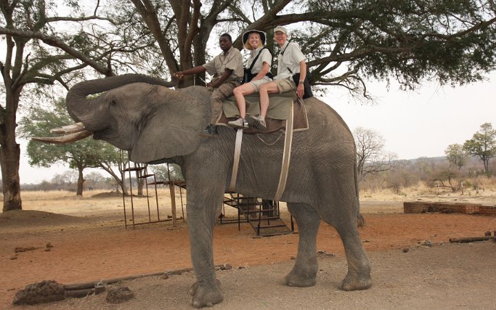 Goliath Tent