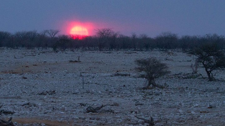 Okaukuejo SunSet