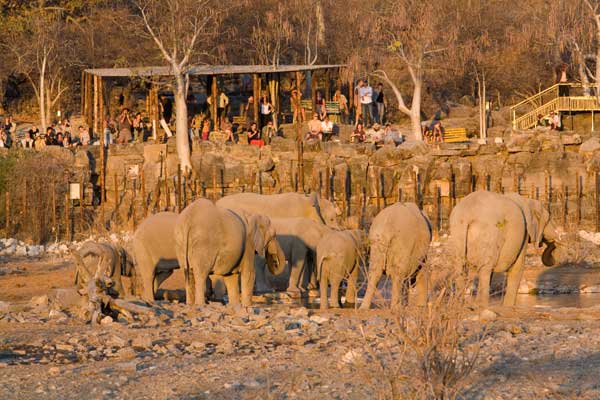 Water Hole