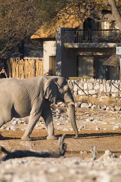 Waterhole