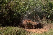 Making banana beer : 2014 Uganda