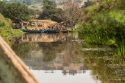 Heading back to the dock. : 2014 Uganda