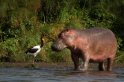 Checking each other out : 2014 Uganda