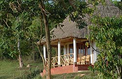 Chimp Guest House