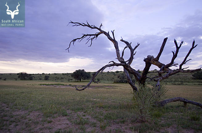 Urikaruus Water Hole