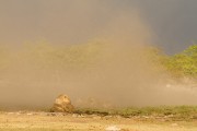 A dust storm