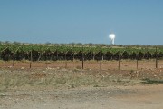 A large solar plant in Upington