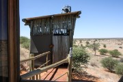 The bathroom looks like an outhouse