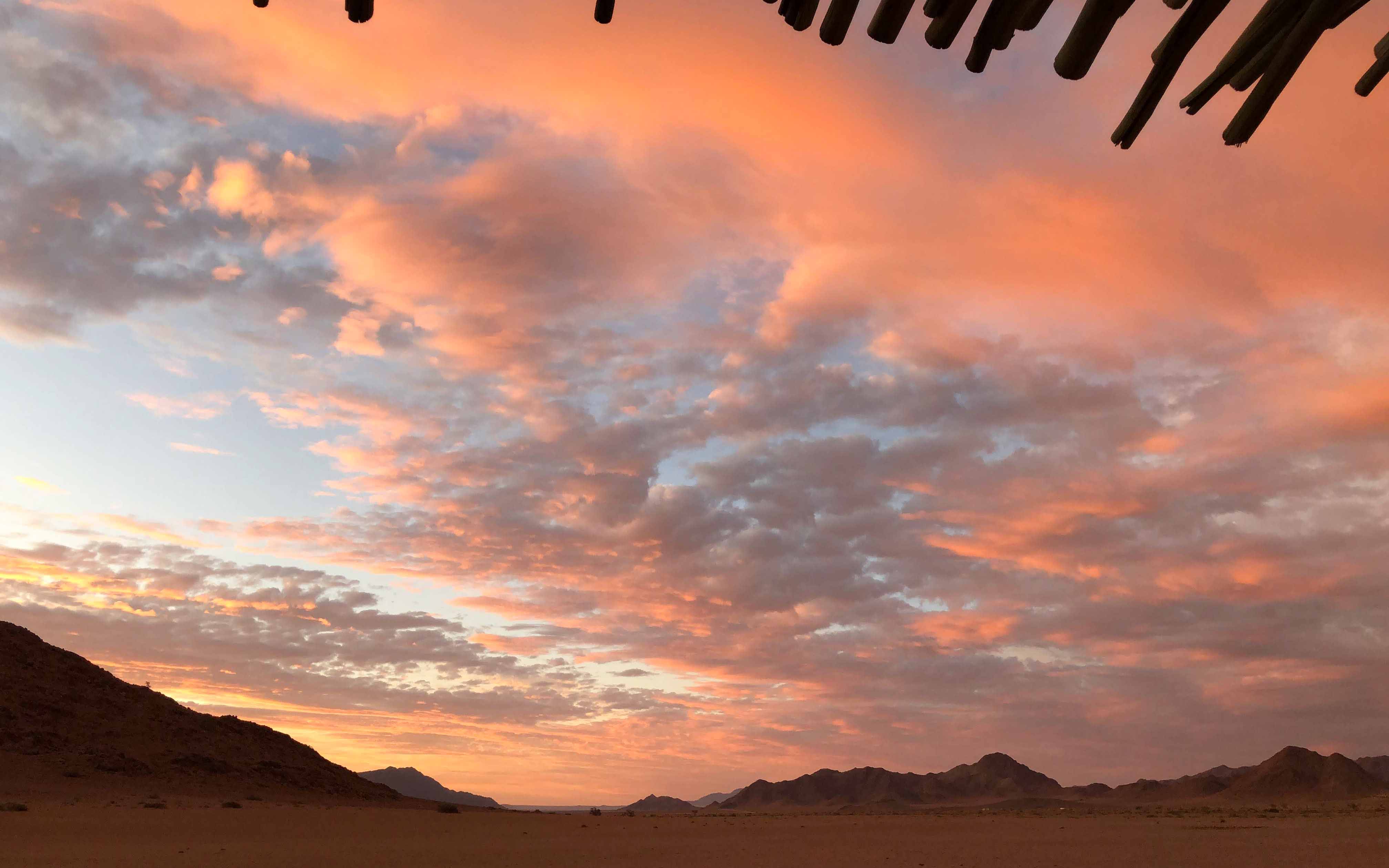 Sunset at Desert Homestead