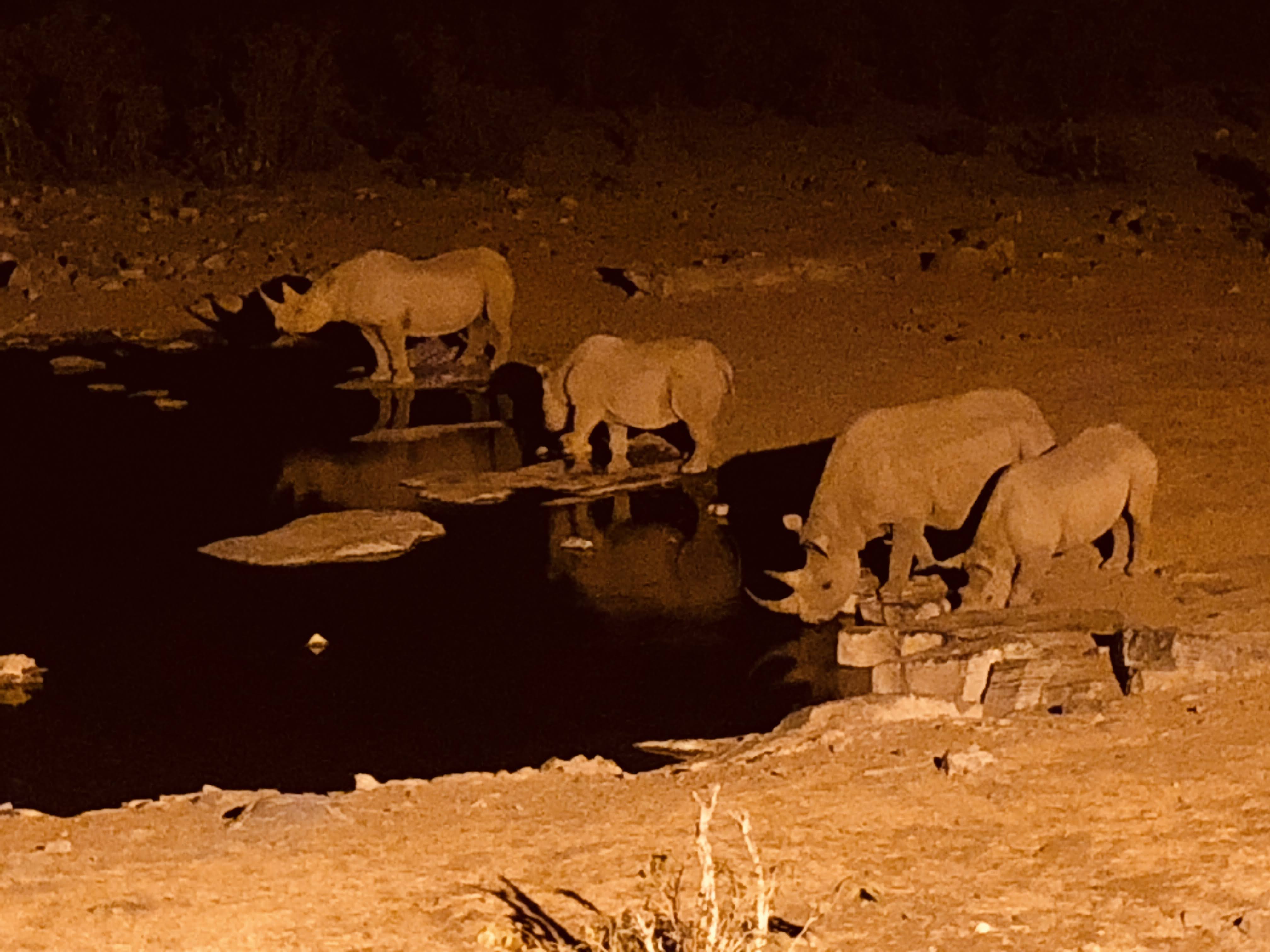 Etosha