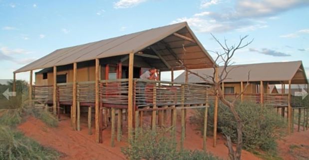 Suricate Lodge