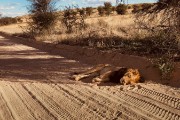 They left Dad sleeping on the road.