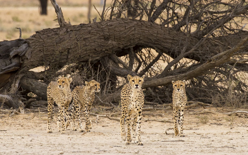 Catrin & Family