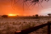 Sunset and the lion is still outside our fence