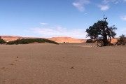 Sossusvlei Dunes