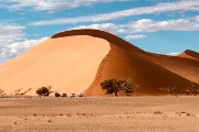 Sossusvlei Dunes