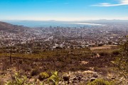 view from Table Mountain