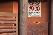Cabe Cobra snake at the door to our chalet