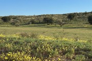 the park was very green and colorful this year