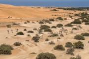 view from Desert Breeze room