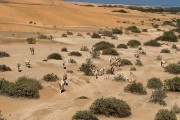 view from Desert Breeze room